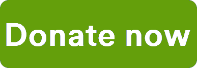 Green Donate Now Button