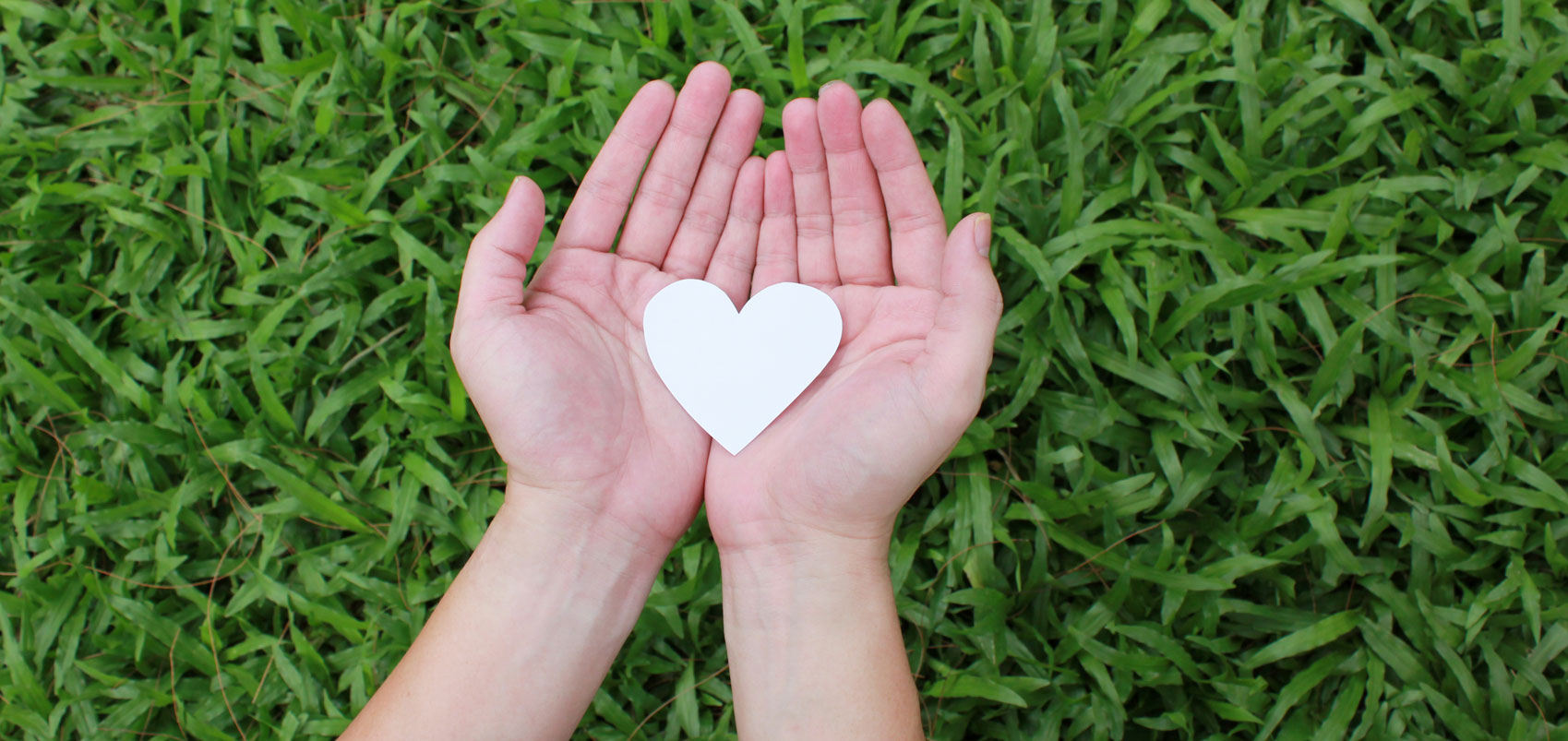 White cut-out heart in hands over grass