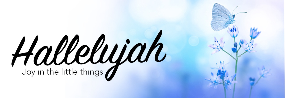 Picture of a butterfly on a flower blended with phrase "Hallelujah Joy in the little things."