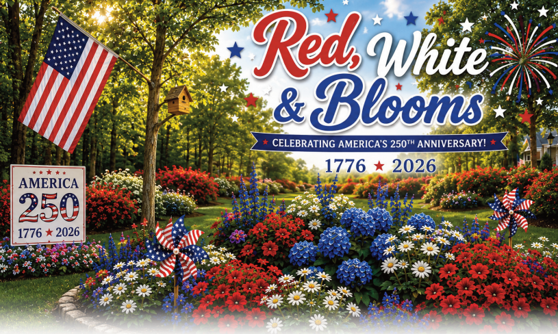 red, white and blue flowers with a banner which says, "Red, White & Blooms: Celebrating America's 250th Anniversary"