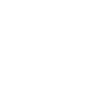 X Icon