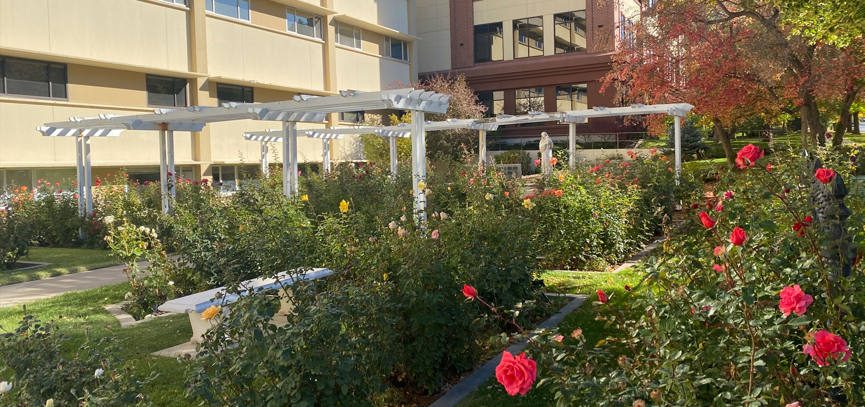 Rose Garden at Holy Cross Hospital - Salt Lake Rose Garden at Holy Cross Hospital - Salt Lake