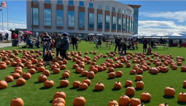 People walk among dozens of pumpkins on hospital grounds