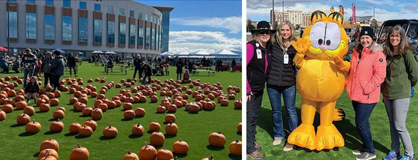 Scenes of autumnal fun at the hospital: a field of pumpkins and posing with Garfield the cat