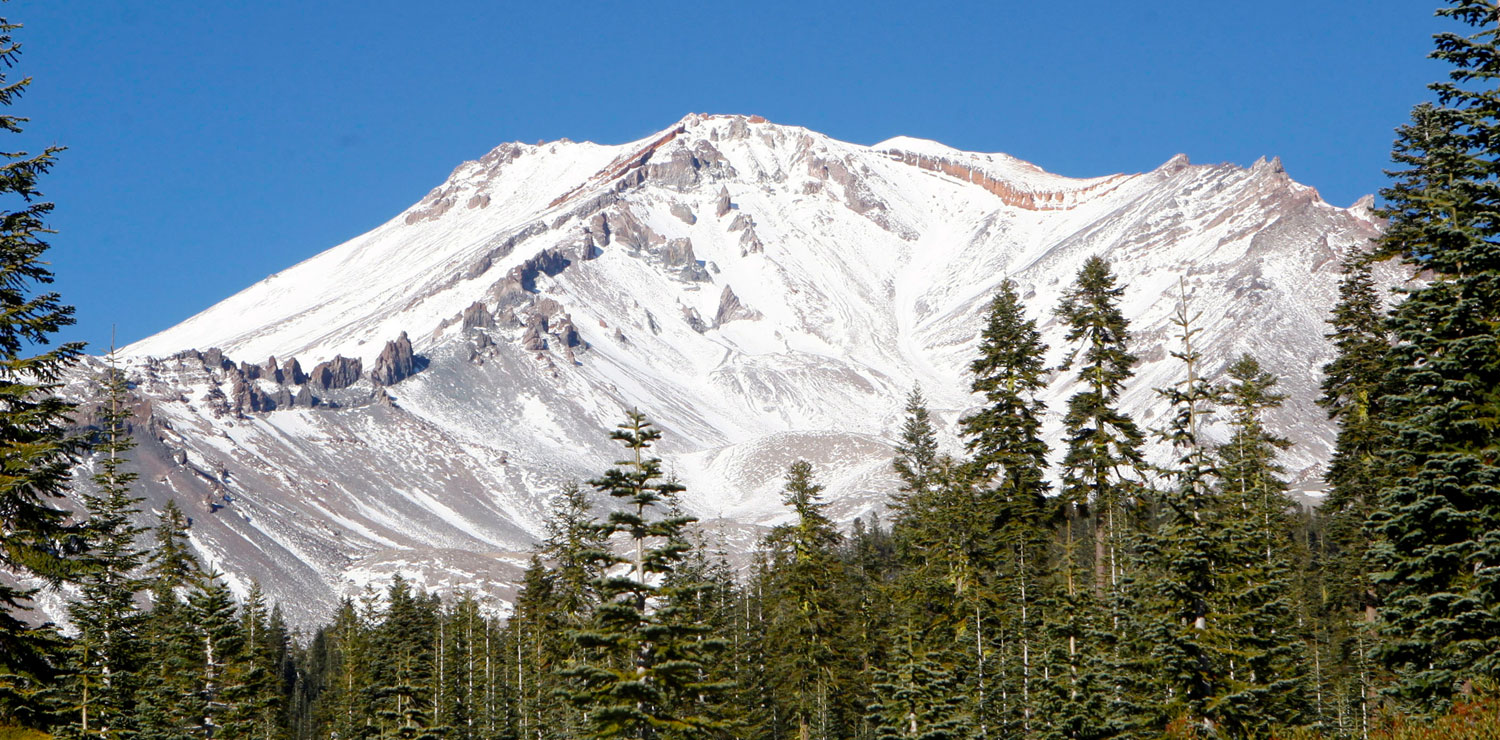 Snowy mountain and forest