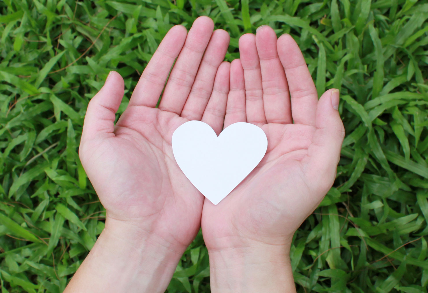 Paper heart in hands